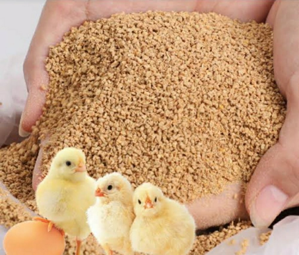 Chicken Food